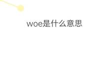 woe是什么意思 woe的中文翻译、读音、例句