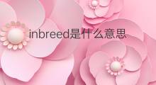 inbreed是什么意思 inbreed的中文翻译、读音、例句