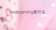 webcaming是什么意思 webcaming的中文翻译、读音、例句