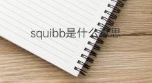 squibb是什么意思 squibb的中文翻译、读音、例句