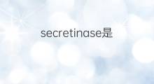 secretinase是什么意思 secretinase的中文翻译、读音、例句