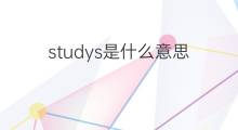 studys是什么意思 studys的中文翻译、读音、例句
