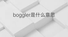 boggler是什么意思 boggler的中文翻译、读音、例句