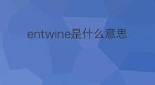 entwine是什么意思 entwine的中文翻译、读音、例句
