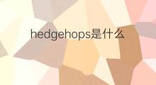 hedgehops是什么意思 hedgehops的中文翻译、读音、例句