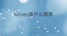 turves是什么意思 turves的中文翻译、读音、例句