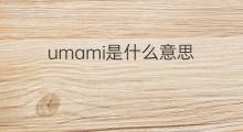umami是什么意思 umami的中文翻译、读音、例句
