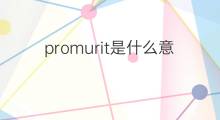 promurit是什么意思 promurit的中文翻译、读音、例句