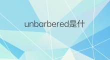 unbarbered是什么意思 unbarbered的中文翻译、读音、例句