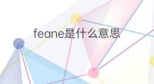 feane是什么意思 feane的中文翻译、读音、例句