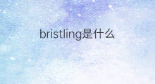 bristling是什么意思 bristling的中文翻译、读音、例句