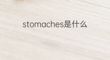 stomaches是什么意思 stomaches的中文翻译、读音、例句