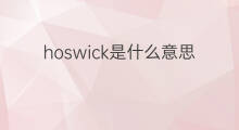 hoswick是什么意思 hoswick的中文翻译、读音、例句