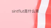 sintflut是什么意思 sintflut的中文翻译、读音、例句