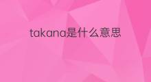 takana是什么意思 takana的中文翻译、读音、例句