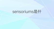 sensoriums是什么意思 sensoriums的中文翻译、读音、例句