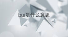 bui是什么意思 bui的中文翻译、读音、例句