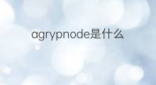 agrypnode是什么意思 agrypnode的中文翻译、读音、例句