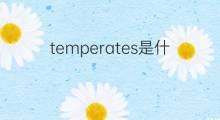 temperates是什么意思 temperates的中文翻译、读音、例句