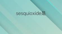 sesquioxide是什么意思 sesquioxide的中文翻译、读音、例句