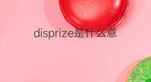 disprize是什么意思 disprize的中文翻译、读音、例句