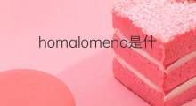 homalomena是什么意思 homalomena的中文翻译、读音、例句