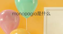 monopagia是什么意思 monopagia的中文翻译、读音、例句