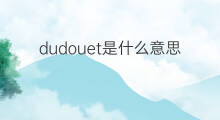 dudouet是什么意思 dudouet的中文翻译、读音、例句