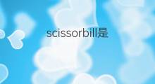 scissorbill是什么意思 scissorbill的中文翻译、读音、例句