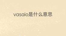 vasaio是什么意思 vasaio的中文翻译、读音、例句