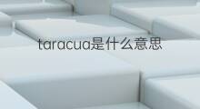 taracua是什么意思 taracua的中文翻译、读音、例句