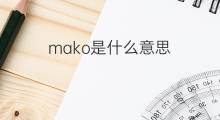 mako是什么意思 mako的中文翻译、读音、例句