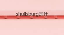 shullsburg是什么意思 shullsburg的中文翻译、读音、例句