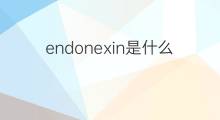 endonexin是什么意思 endonexin的中文翻译、读音、例句