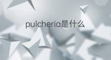 pulcheria是什么意思 pulcheria的中文翻译、读音、例句