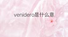 venidero是什么意思 venidero的中文翻译、读音、例句