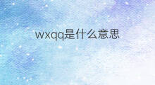 wxqq是什么意思 wxqq的中文翻译、读音、例句