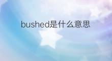 bushed是什么意思 bushed的中文翻译、读音、例句