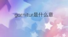 garnitur是什么意思 garnitur的中文翻译、读音、例句