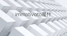 immotivato是什么意思 immotivato的中文翻译、读音、例句