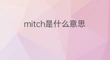 mitch是什么意思 mitch的中文翻译、读音、例句