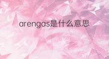 arengas是什么意思 arengas的中文翻译、读音、例句