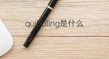 quibbling是什么意思 quibbling的中文翻译、读音、例句