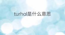turhal是什么意思 turhal的中文翻译、读音、例句