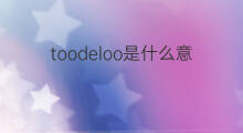 toodeloo是什么意思 toodeloo的中文翻译、读音、例句