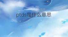 ptds是什么意思 ptds的中文翻译、读音、例句