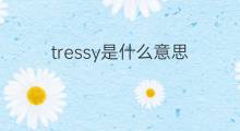 tressy是什么意思 tressy的中文翻译、读音、例句