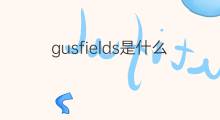 gusfields是什么意思 gusfields的中文翻译、读音、例句