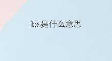 ibs是什么意思 ibs的中文翻译、读音、例句