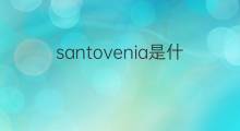 santovenia是什么意思 santovenia的中文翻译、读音、例句